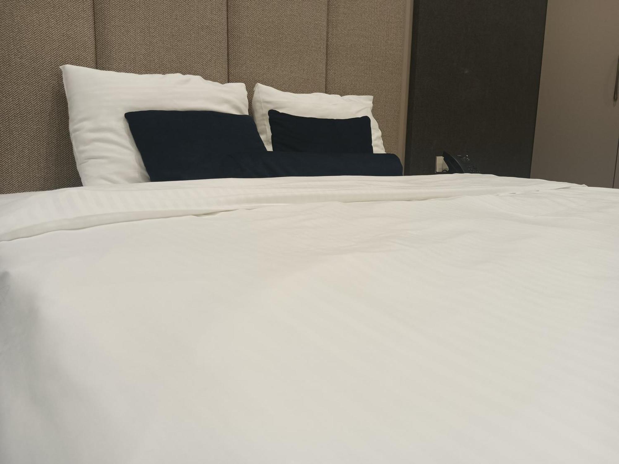 Darin Plaza Hotel Арбил Екстериор снимка